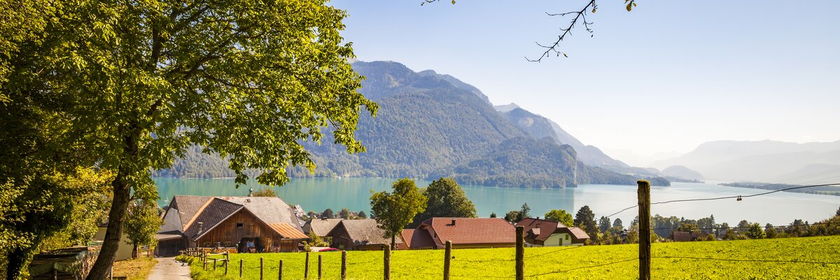 Blick über die Wiesen auf den Wolfgangsee vom Bio Archehof Eislbauer in Sankt Gilgen am Wolfgangsee. | © Urlaub am Bauernhof im SalzburgerLand / Bernd Suppan