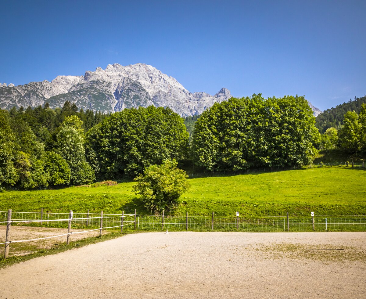 Reitplatz am Millinghof in Leogang, Salzburger Land | © Urlaub am Bauernhof Salburger Land / Bernd Suppan