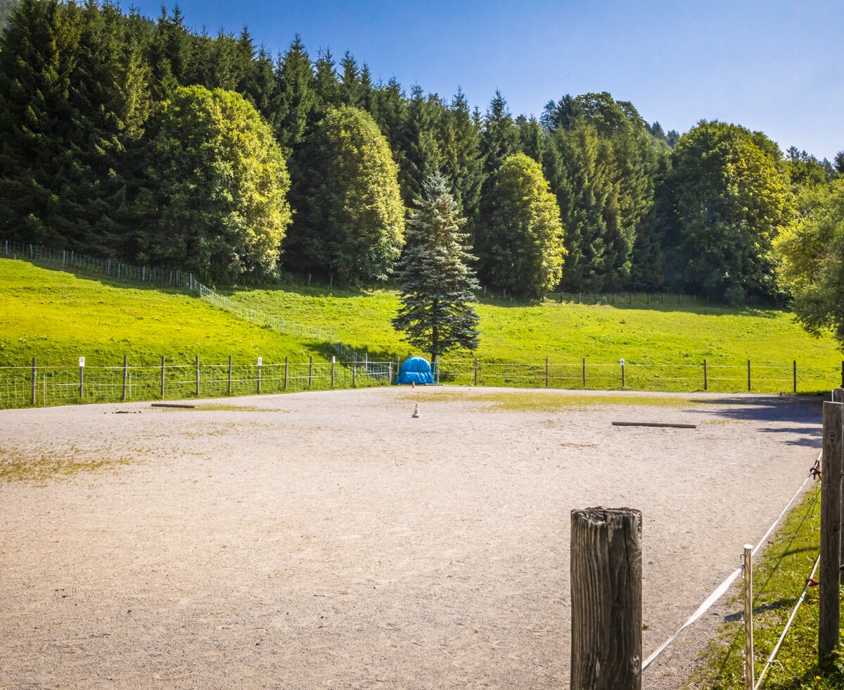 Reitplatz mit wunderschöner Aussicht am Millinghof, Leogang, Salzburger Land | © Urlaub am Bauernhof Salzburger Land / Bernd Suppan