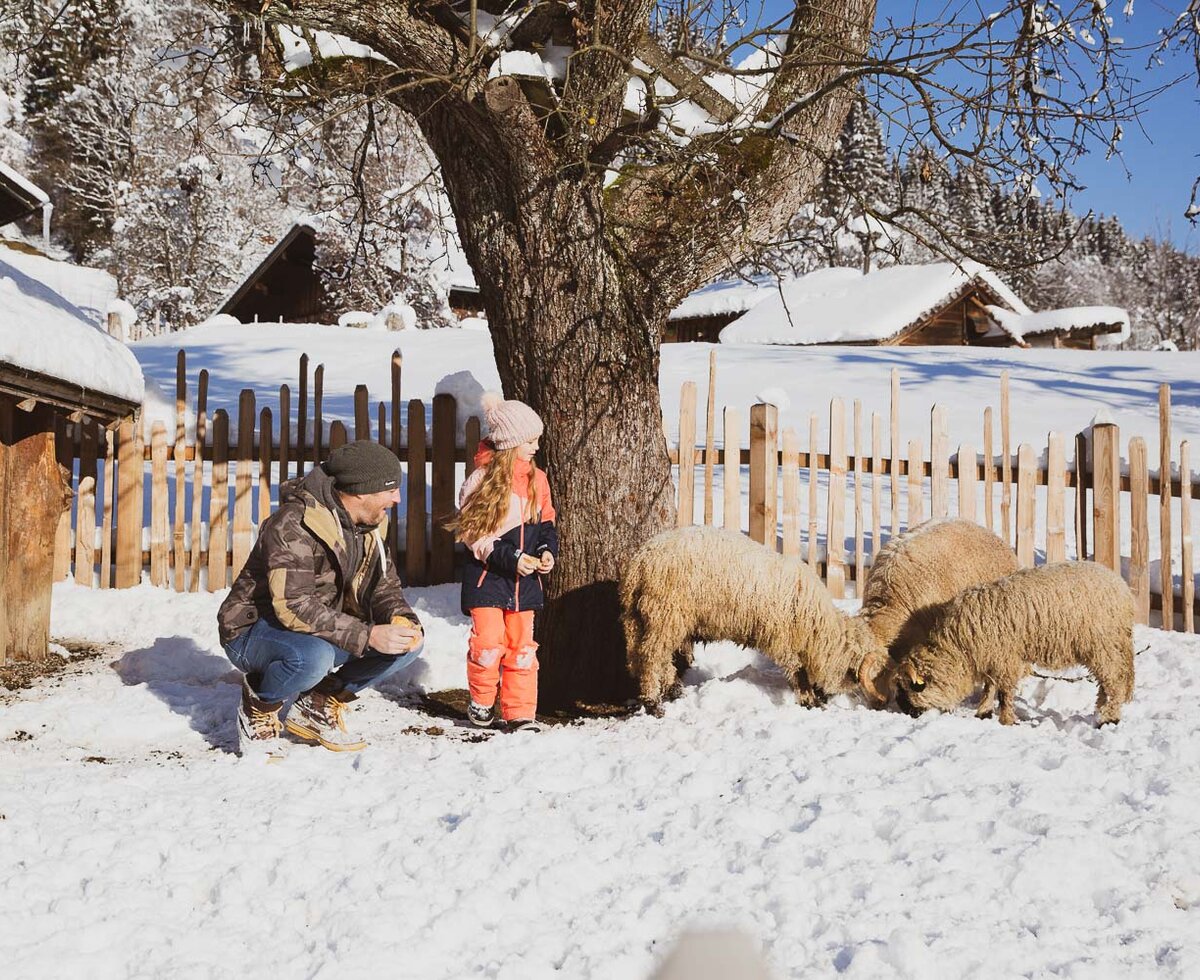 Mädchen mit Schafe am Pronebengut, Salzburger Land | © Urlaub am Bauernhof Salzburger Land / Punkt & Komma