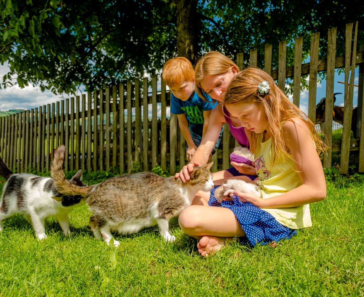 Mutter und Kinder streicheln eine Katzenfamilie, Oststeiermark, Steiermark | © Urlaub am Bauernhof Steiermark / Wolfgang Spekner