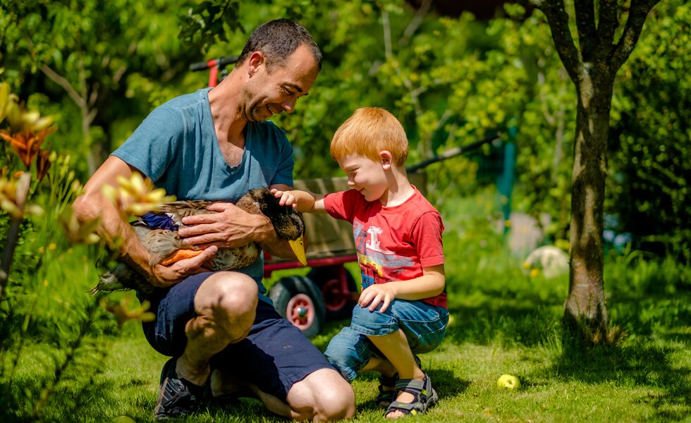 Der Vater hält eine Ente und das Kind streichelt sie, Oststeiermark, Steiermark | © Urlaub am Bauernhof Steiermark / Wolfgang Spekner