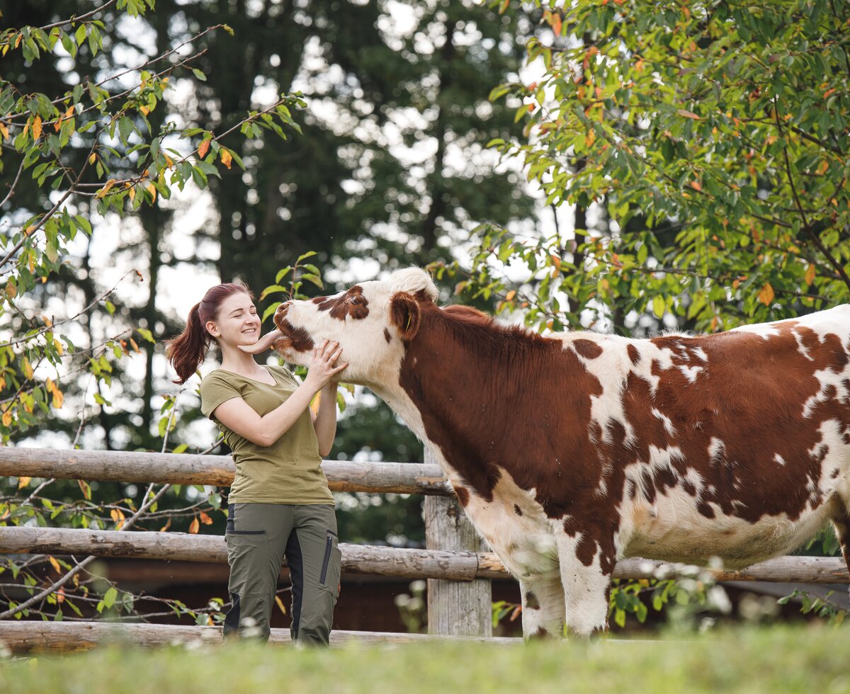 Eine Kuh schleckt ein Mächen im Gesicht ab, Forstbauer, Steiermark | © Urlaub am Bauernhof / Punkt & Komma