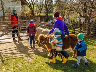 Die Kinder dürfen die Miniponys führen und mit ihnen spazieren gehen | © Urlaub am Bauernhof Steiermark / Wolfgang Spekner