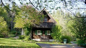 Renoviertes Holzhaus mit grünen Fensterläden, umgeben von grünen Wiesen und Bäumen, Familie Schöllauf | © Urlaub am Bauernhof Steiermark @ Daniel Gollner