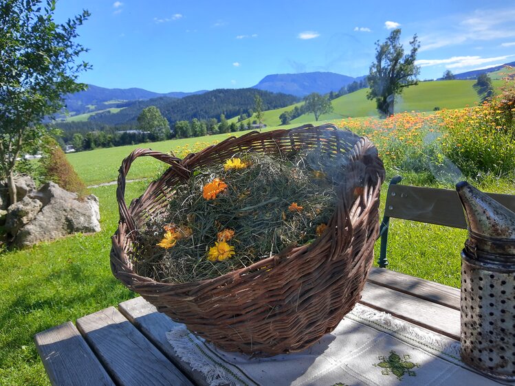 Korb mit Heu auf einem Tisch im Freien, Almenlandhof, Steiermark | © Urlaub am Bauernhof Steiermark / Evelyn Götz