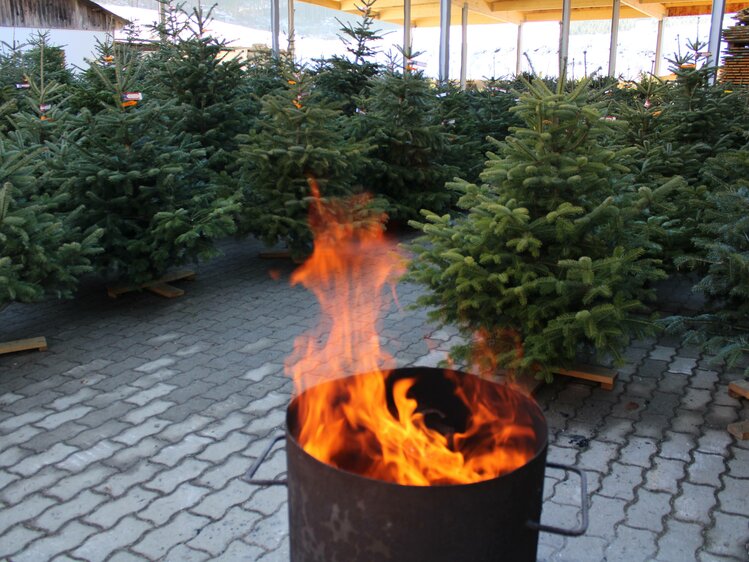 Wärmender Ofen im Freien beim Christbaumverkauf, Bauernhof Grain, Steiermark | © Kinder spazieren neugierig zwischen den Weihnachtsbäumen