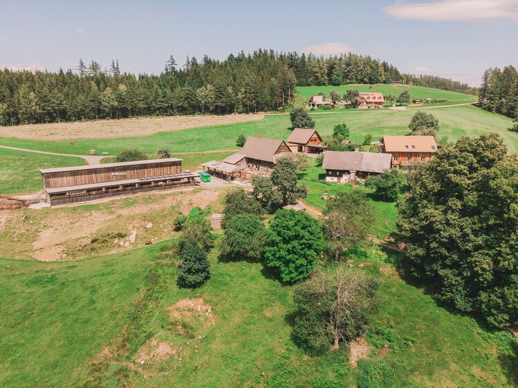 Luftaufnahme des Hofes und des Waldes | © Urlaub am Bauernhof Steiermark / Sabine Ertl