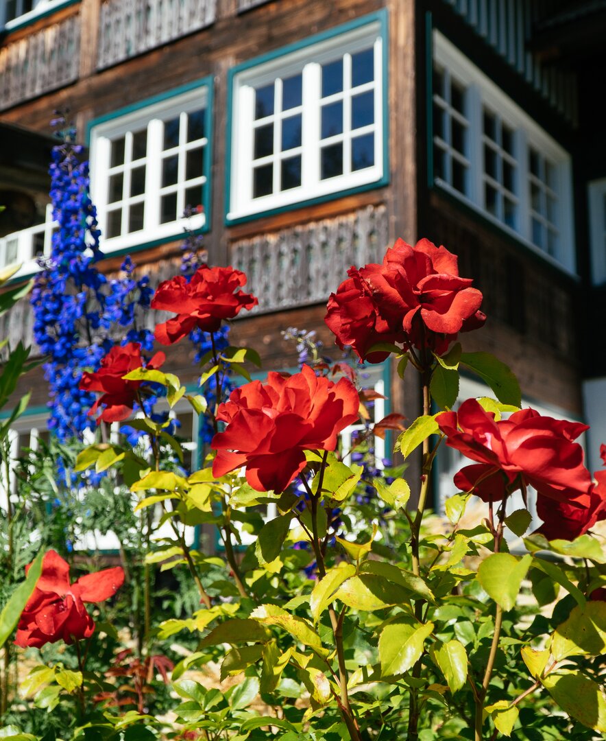 Rot blühende Blume vor dem Bauernhaus mit Holzfront am Bauernhof Leitenmüller in Ramsau | © Urlaub am Bauernhof Steiermark / Daniel Gollner