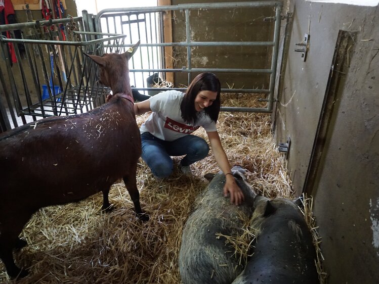 Bei den Schweinen und Ziegen im Stall, Kinderbauernhof Matlschweiger, Steiermark | © Urlaub am Bauernhof Steiermark / Katrin Rathmayr