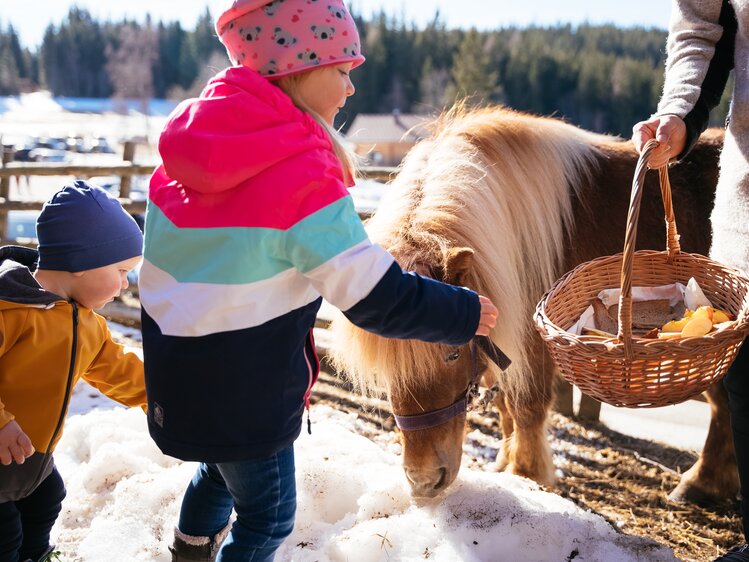 Kinder beim Füttern der Ponys im Winter, Orthofer, Steiermark | © Urlaub am Bauernhof Steiermark / Daniel Gollner