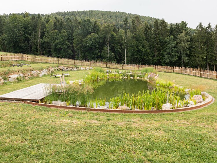 Am Badeteich finden ruhesuchende Gäste die nötige Entspannung | © Urlaub am Bauernhof Steiermark / Sabine Ertl