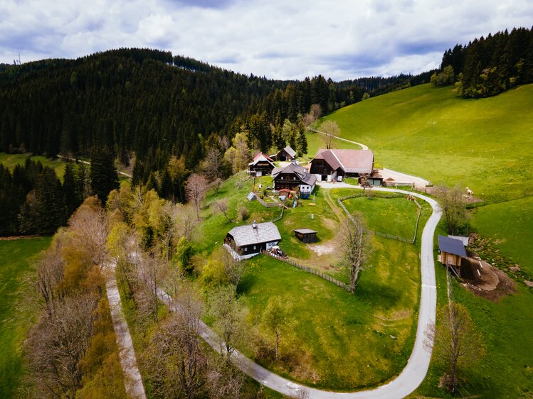 Luftaufnahme vom Bauernhof Rossegger, Steiermark | © Urlaub am Bauernhof Steiermark | Daniel Gollner