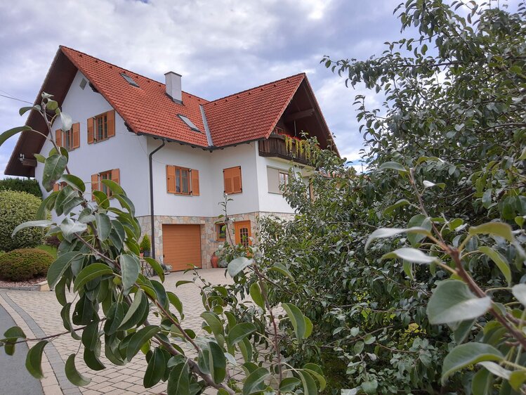 Blick auf das Wohnhaus durch Stauden, Schwalbenhof, Steiermark | © Urlaub am Bauernhof Steiermark / Evelyn Götz