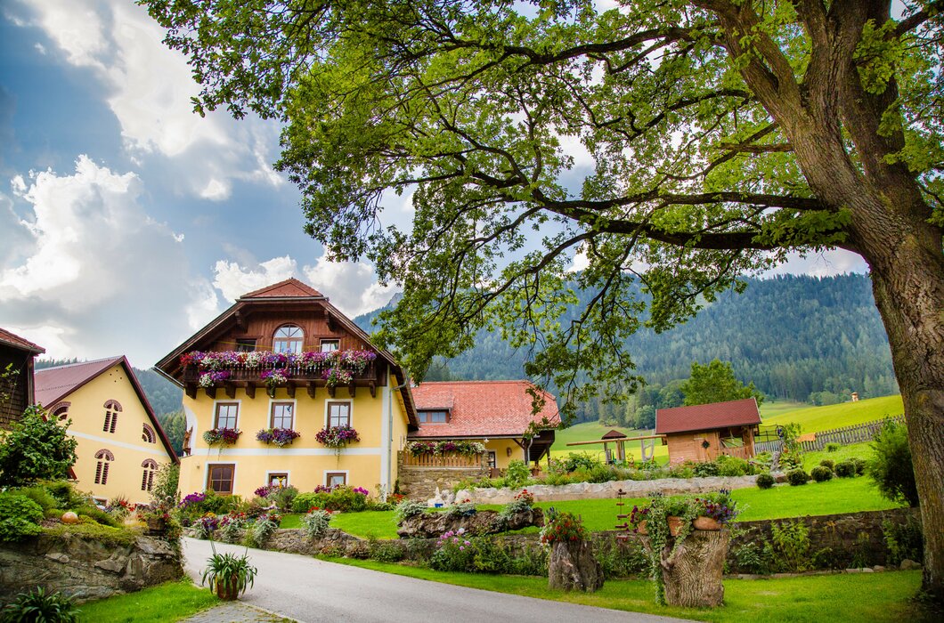 Der Michlbauernhof in Neuberg/Mürz, Steiermark | © Michlbauernhof / nixxipixx