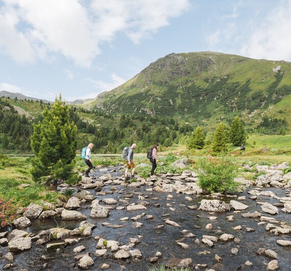 Wanderung in der Region Murtal zwischen Wiesen und Seen, der Almrausch blüht | © Region Murtal / Karl Steinegger