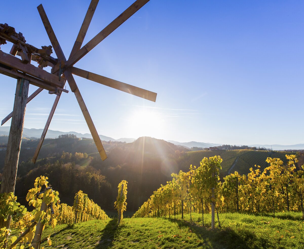 Herbstliche Weingärten und Weinhänge mit einem Klapotitz, Süd-West-Steiermark, Steiermark | © Steiermark Tourismus / Harry Schiffer