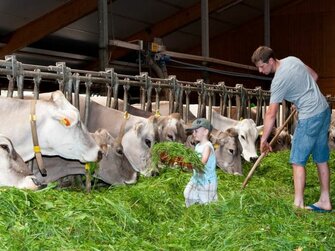 Der Bauer füttert mit einem Mädchen die Kühe mit frischem Gras, Wagnerhof, Steiermark | © Wagnerhof / Familie Steiner