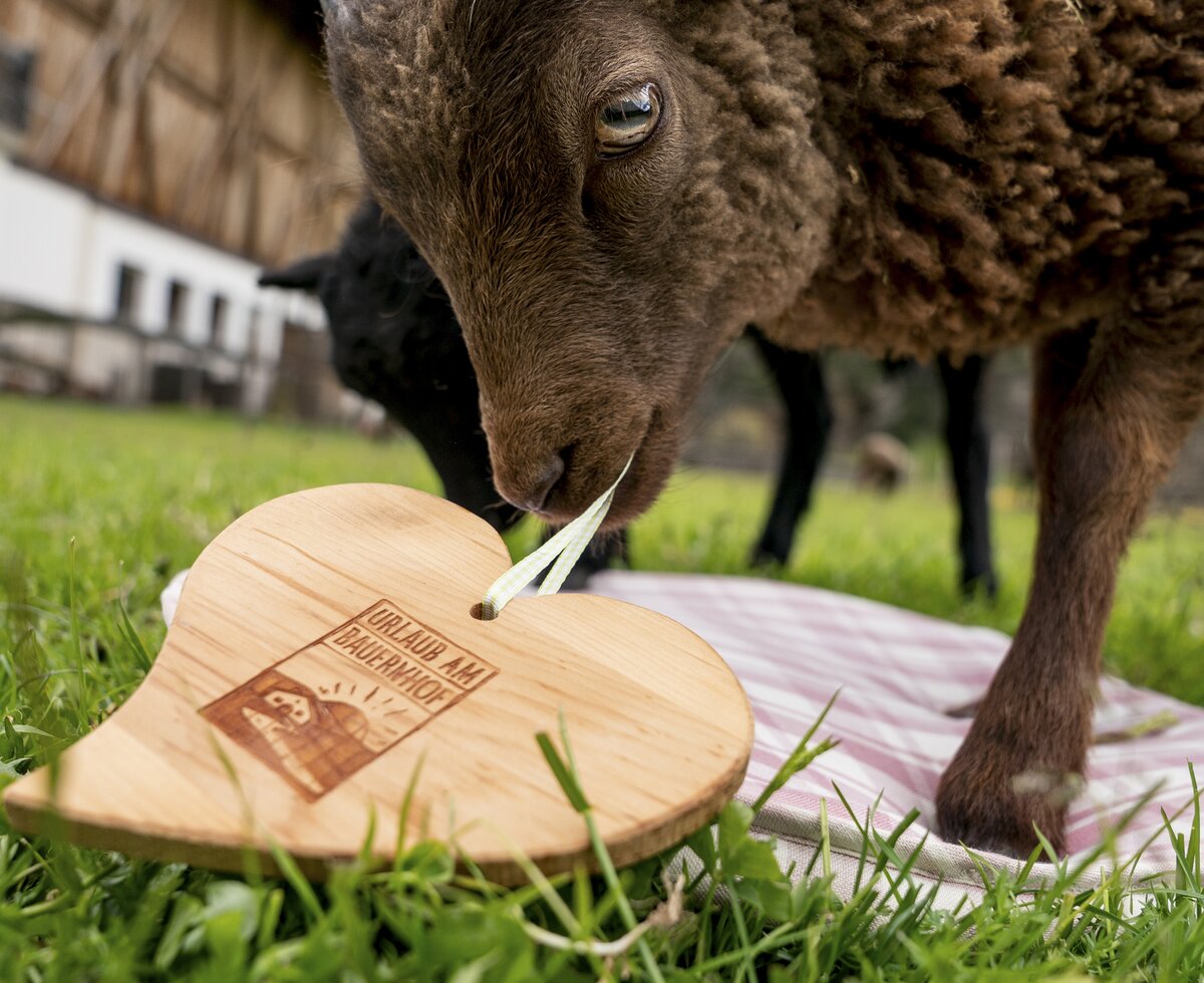 Tiere mit Urlaub am Bauernhof-Herz am Wendlshof | © Black Tea Fotografie/Viktoria Gstrein 