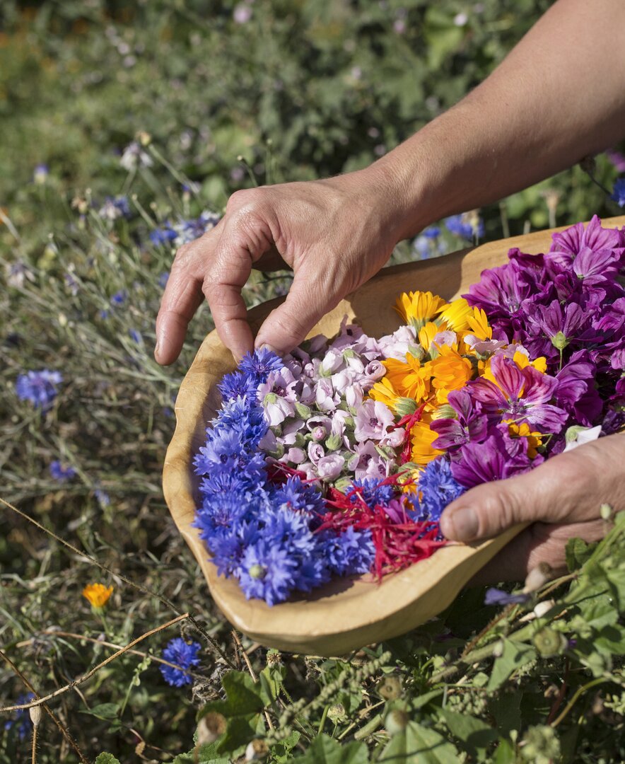 Blüten werden in der Schale gesammelt | © Urlaub am Bauernhof Tirol / Lisa Hörterer