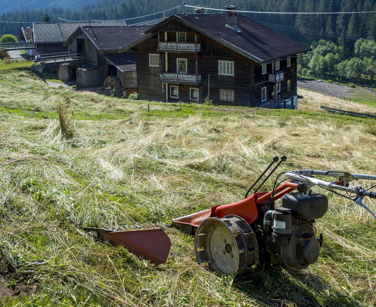 Höfe Trail | © Urlaub am Bauernhof -  TVB Osttirol/ Klaus Dapra