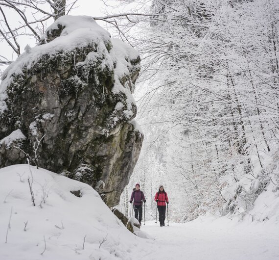 Schneewanderung  | © TVB Reutte