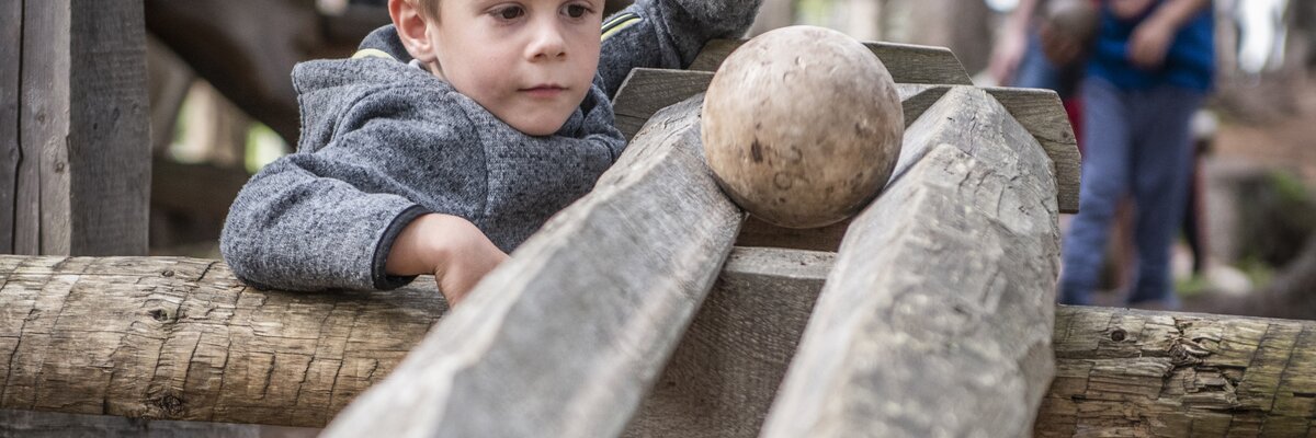 Bergerlebniswelt Kugelwald | © hall-wattens