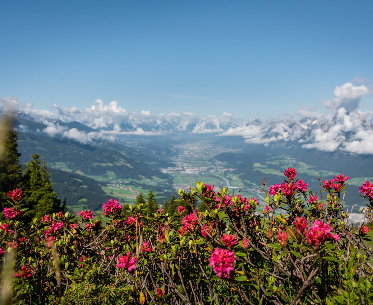 Ausblick Kellerjoch | © TVB SilberregionKarwendel