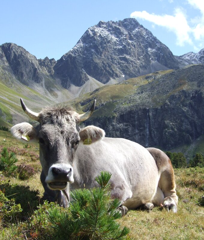 Naturpark Kaunergrat | © TVB Pitztal/Wolfgang Schranz