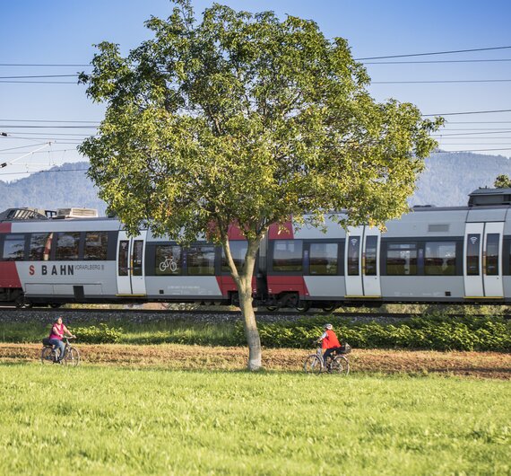 Radfahren am Bodensee | © Bodensee-Vorarlberg Tourismus_Petra Rainer