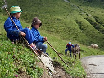 Kinder beim Kühe hüten auf der Alpe | © Urlaub am Bauernhof Vorarlberg / Ludwig Berchtold