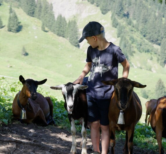 Auf Entdeckungsreise in Vorarlberg | © Urlaub am Bauernhof / Daniel Gollner