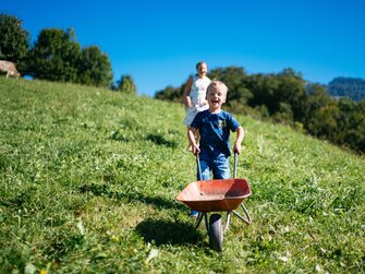 Bub mit Scheibtruhe auf der Wiese | © Urlaub am Bauernhof Vorarlberg / Daniel Gollner