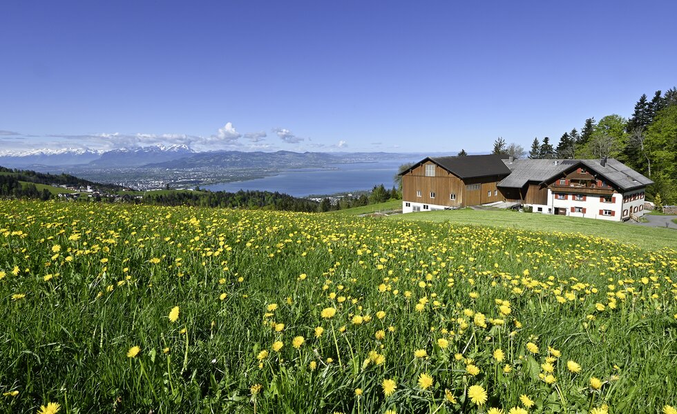 Urlaub mit Blick auf den Bodensee | © Urlaub am Bauernhof / Andreas Künk