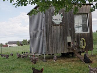 Hühnerstall aus Holz steht in der Wiese vom Innauerhof oberhalb vom Bodensee | © Daniel Gollner | Urlaub am Bauernhof