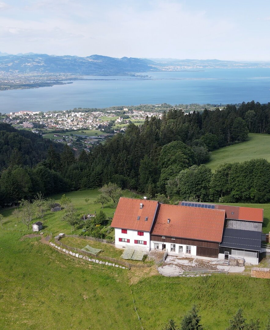 Bild von oben vom Hof mit Wohnhaus und Umgebung  | © Daniel Gollner | Urlaub am Bauernhof