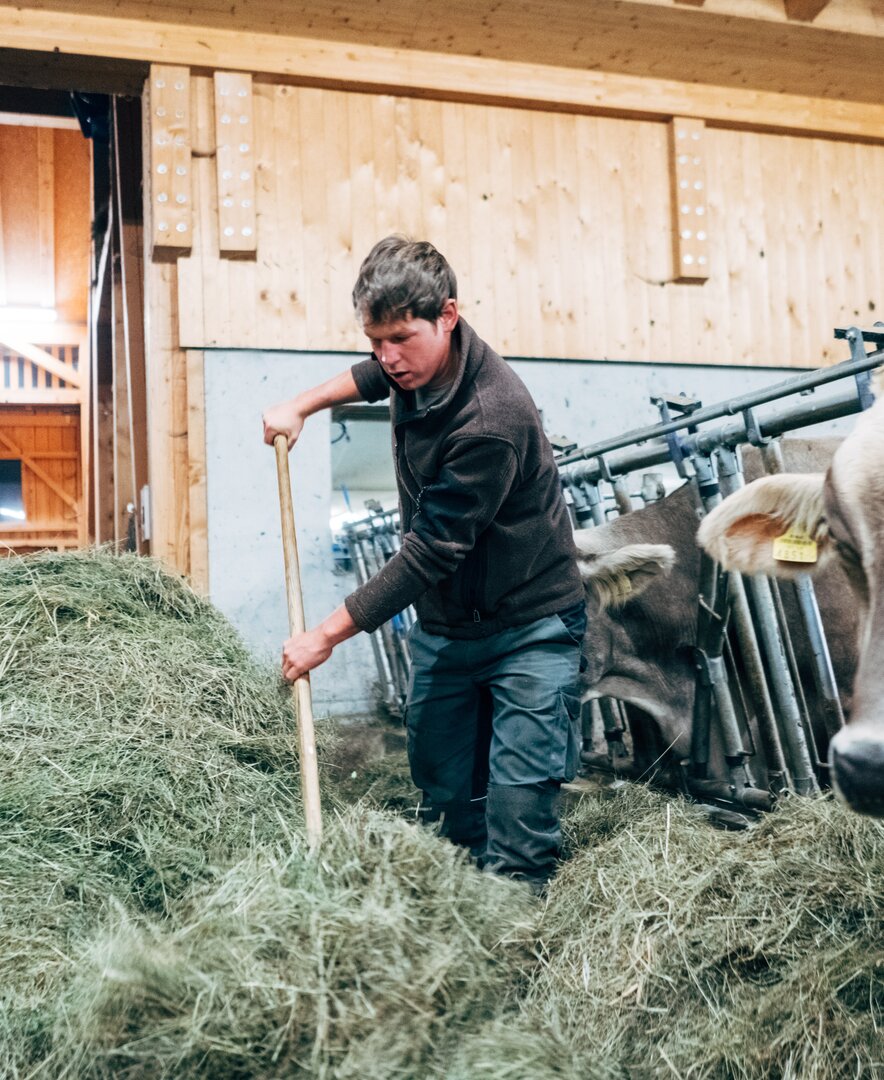 Landwirt Thomas füttert die Tier | © Urlaub am Bauernhof Vorarlberg / Daniel Gollner 