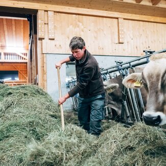 Landwirt Thomas füttert die Tier | © Urlaub am Bauernhof Vorarlberg / Daniel Gollner 