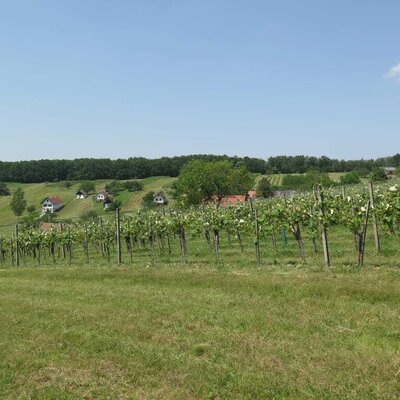 das Stöckl im Sommer