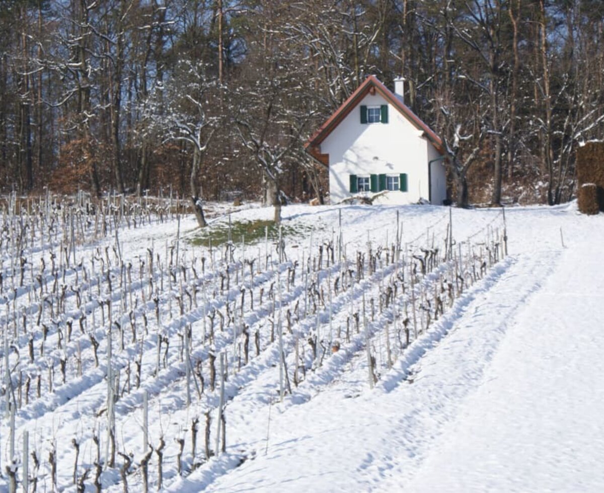 Winter ums Stöckl