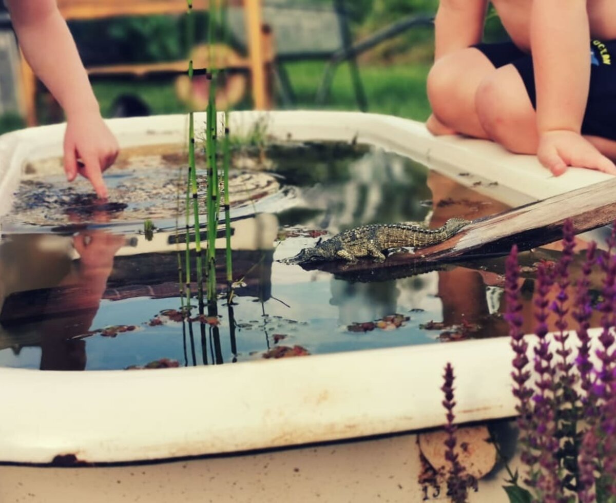 Badewannenbiotop und ein größeres Biotop warten darauf entdeckt zu werden!