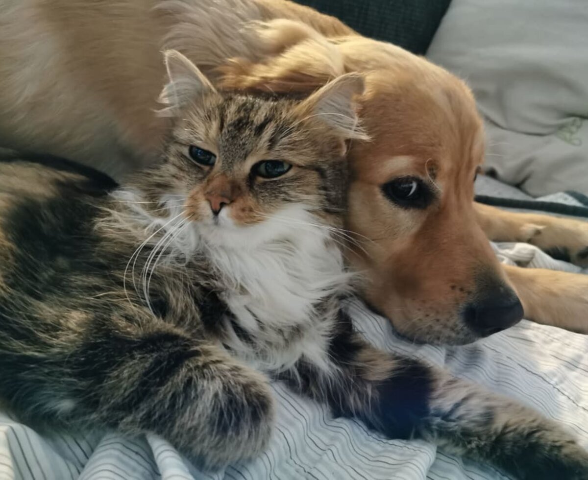 Cookie uns Silas freuen sich auf Ihren Besuch!