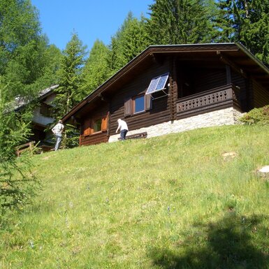 Hütte von vorne Sommer Hütte von vorne Sommer