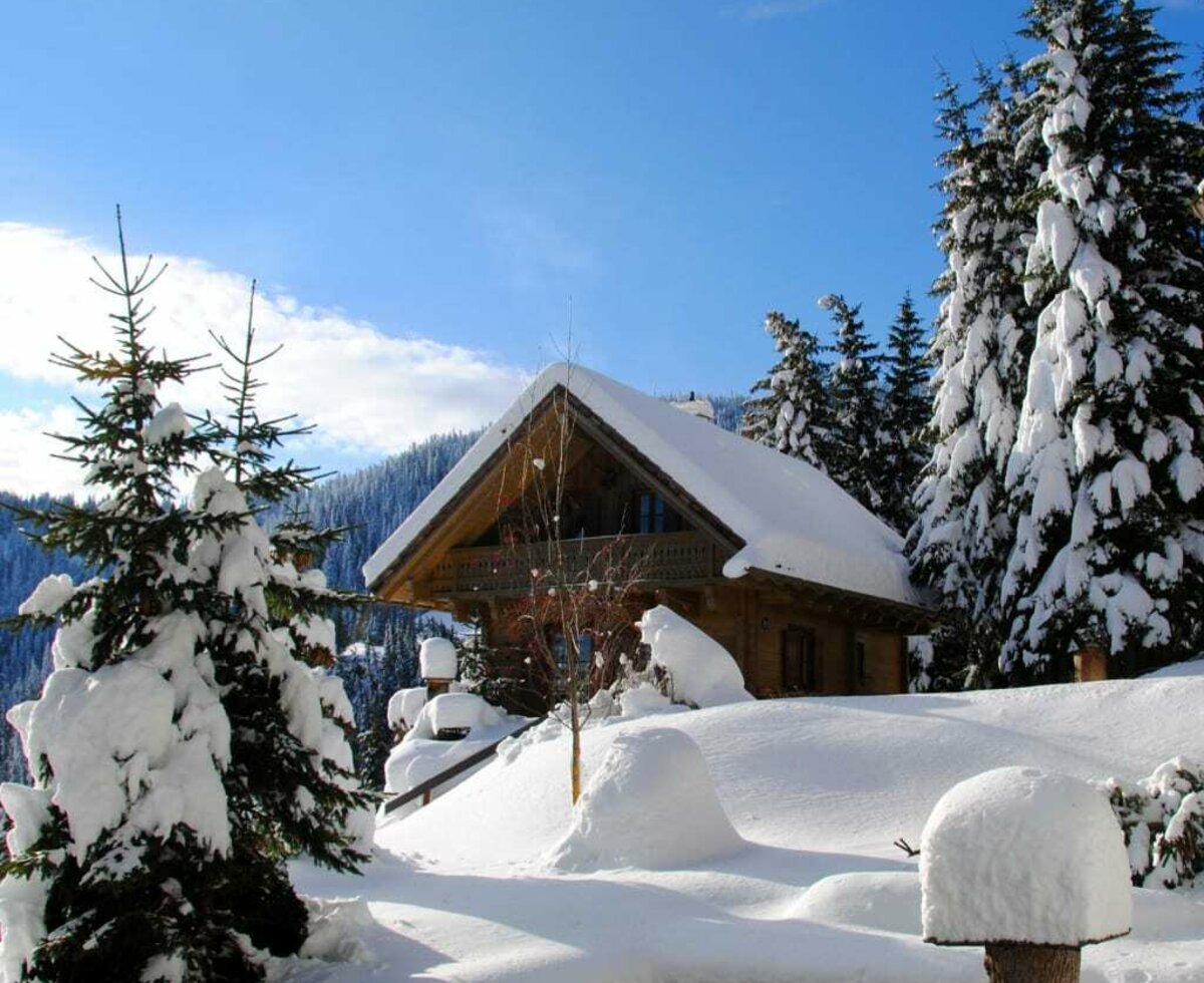 Winter in den Bergen, Fischeich, Kleine Rodelwiese, Vögel zum Beobachten und viele Eichhörnchen