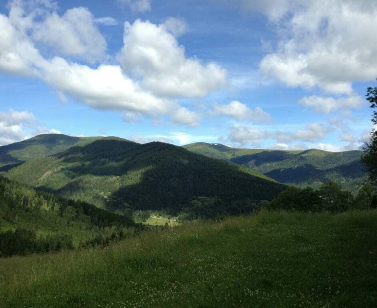 Ausblick vom Almhaus Strutz