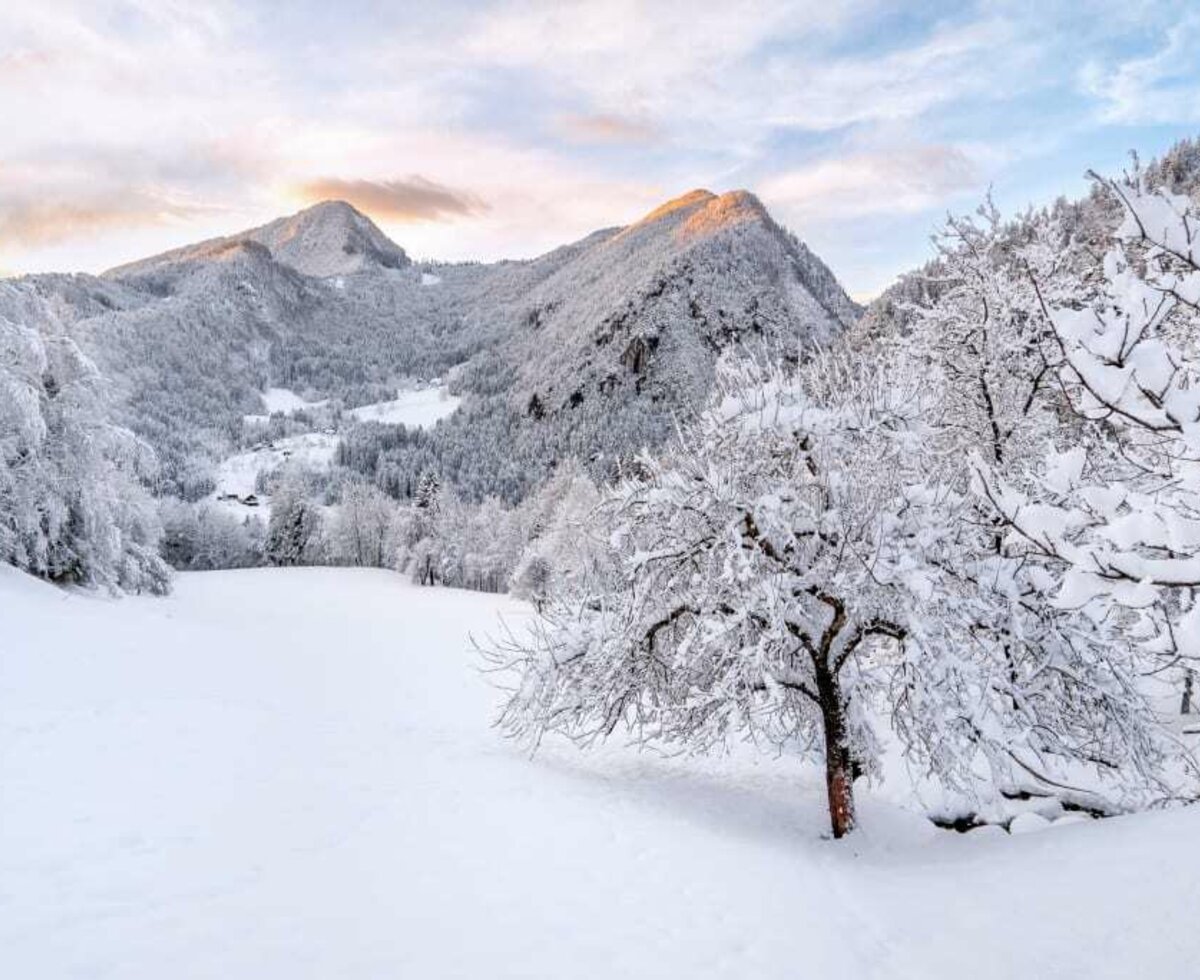 Winterlandschaft am Arlitscherhof_Jürgen Lamprecht