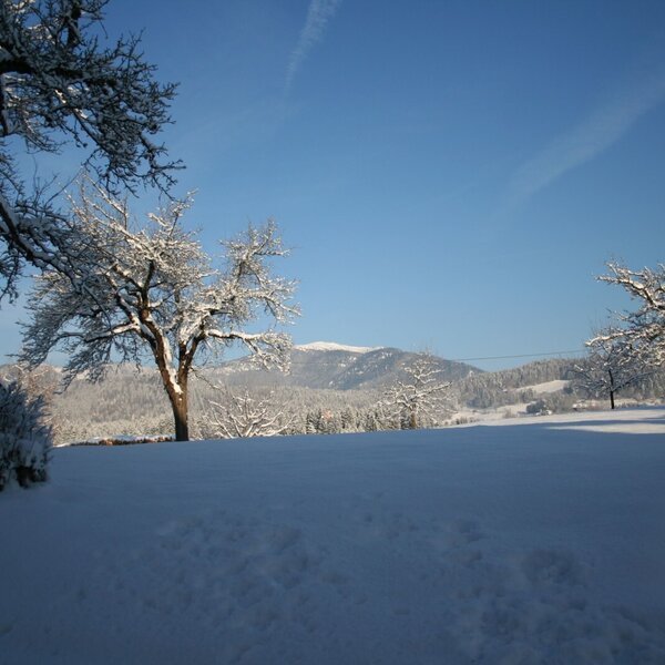 Ausblick hinterm Haus Ausblick hinterm Haus