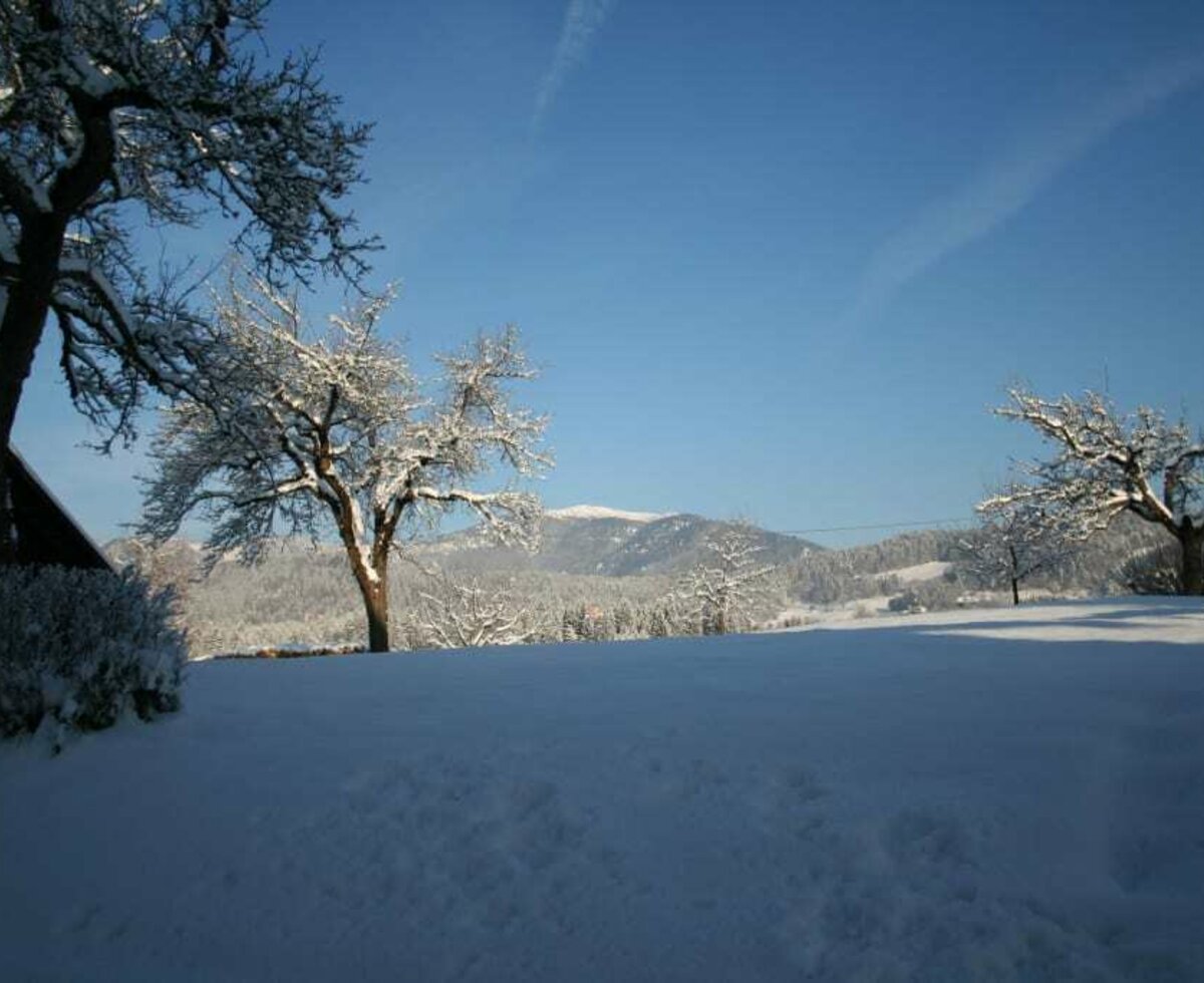 Ausblick hinterm Haus