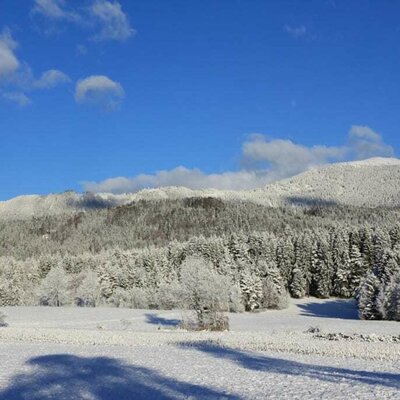 Ausblick nach Norden