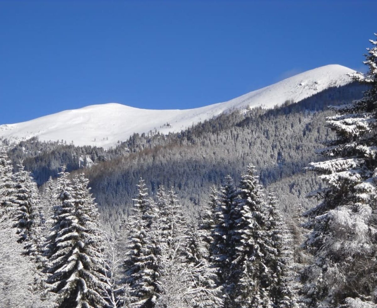 Aussicht auf den Wöllaner Nock